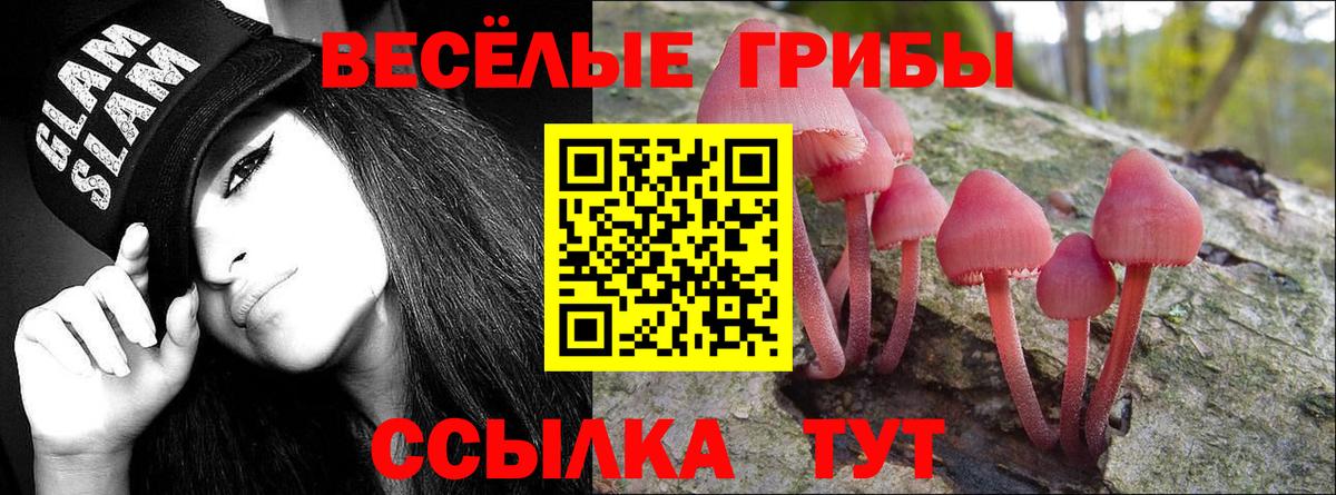 Пенза  Псилоцибиновые грибы Psilocybe  Псилоцибиновые грибы мицелий  Вход с VPN 
