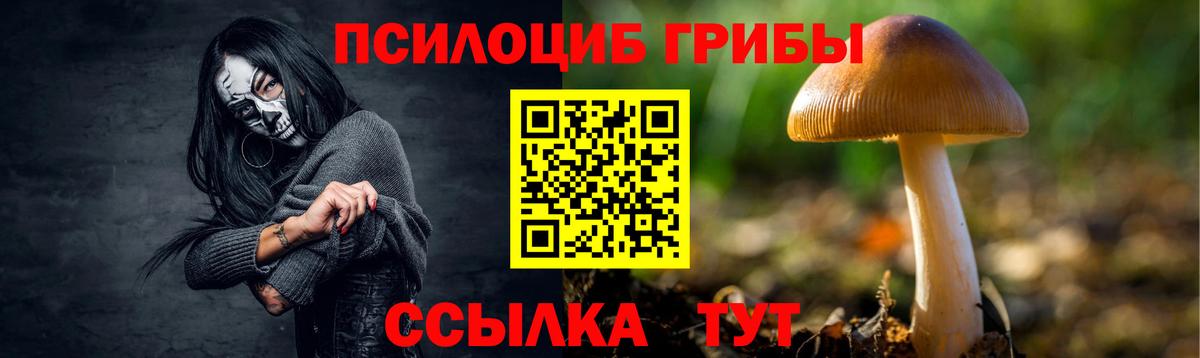 Галлюциногенные грибы MAGIC MUSHROOMS Пенза